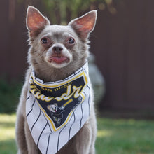 Load image into Gallery viewer, Pawdres Small Pet Bandana