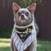 Load image into Gallery viewer, Pawdres Small Pet Bandana