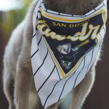 Load image into Gallery viewer, Pawdres Small Pet Bandana