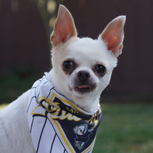 Load image into Gallery viewer, Pawdres Small Pet Bandana