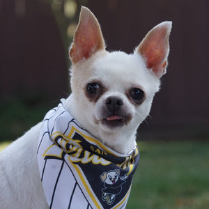 Pawdres Small Pet Bandana