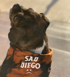 Sad Diego Dog Bandana