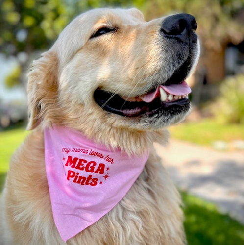 My Momma Loves Her *MEGA PINTS* Pet Bandana