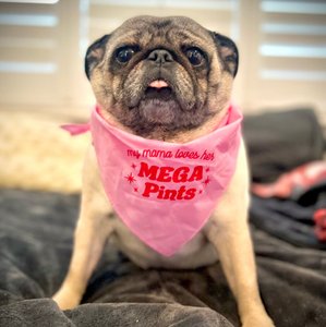 My Momma Loves Her *MEGA PINTS* Pet Bandana