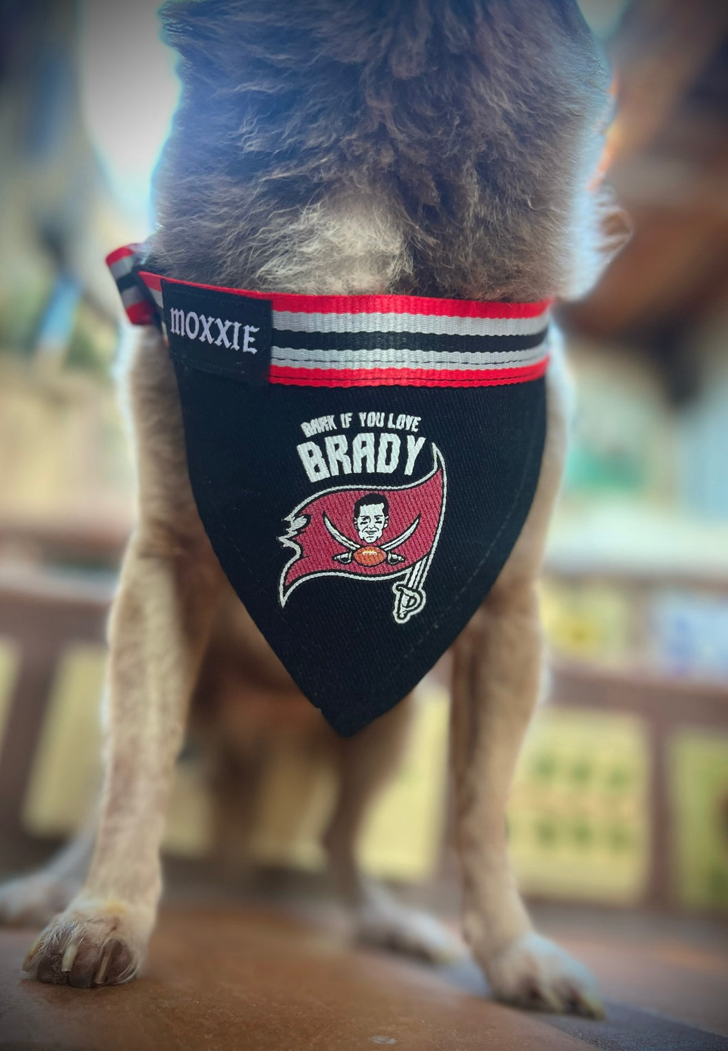 Bark if you Love BRADY! Adjustable Pet Bandana